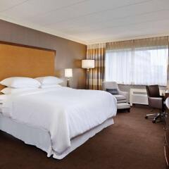 Отель Sheraton at the Falls США, Ниагара-Фолс - отзывы, цены и фото номеров - забронировать отель Sheraton at the Falls онлайн комната для гостей фото 2