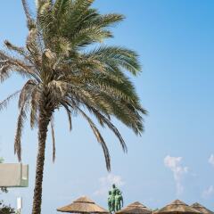 Blue Sky City Beach Hotel фото 11