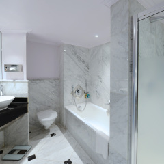 Отель Radisson Blu Edwardian Hampshire Лондон фото 6