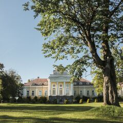 Гостиница Palace Yelizavetino в Гатчине отзывы, цены и фото номеров - забронировать гостиницу Palace Yelizavetino онлайн Гатчина фото 8