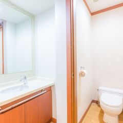 Отель The Evelyn Dongdaemun Hotel Южная Корея, Сеул - отзывы, цены и фото номеров - забронировать отель The Evelyn Dongdaemun Hotel онлайн ванная фото 2