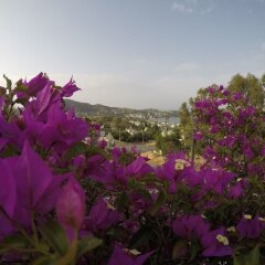 Отель Panorama Otel фото 3