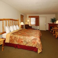 Отель Best Western Buffalo Ridge Inn комната для гостей фото 5