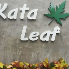 Отель Kata Leaf Resort городской автобус