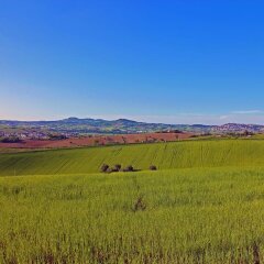 Отель Agriturismo Il Parco Di Kipo Монтефано фото 8
