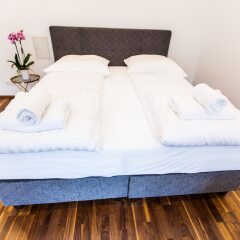 Апартаменты Cosy 2 Bedroom Apartment Вена удобства в номере