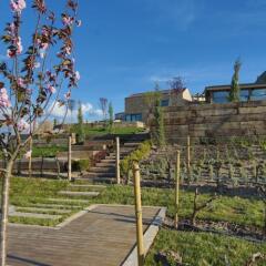 Ariana Sustainable Luxury Lodge Турция, Учисар - отзывы, цены и фото номеров - забронировать отель Ariana Sustainable Luxury Lodge онлайн фото 2