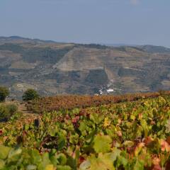 Отель Quinta dos Espinheiros