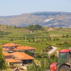 Отель Quinta da Barroca Португалия, Армамар - отзывы, цены и фото номеров - забронировать отель Quinta da Barroca онлайн фото 6