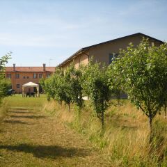 Отель Agriturismo Campi di Grano Ронкаде фото 2