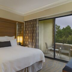 The Woodlands Resort, Curio Collection by Hilton in The Woodlands, United States of America from 347$, photos, reviews - zenhotels.com guestroom