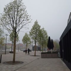 Hotel T Zand фото 6