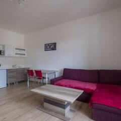 Апартаменты Downtown Apartments Prague Прага комната для гостей фото 3