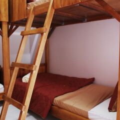 Tree House Hostel Далат комната для гостей фото 3