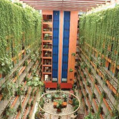 Hotel Tortuga Acapulco фото 2