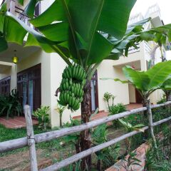 Отель Lama Homestay Hoi An фото 3