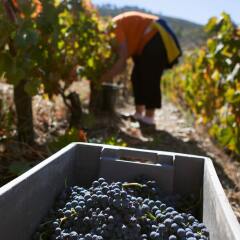 Отель Rural Quinta Do Silval Алижо спа