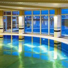 Отель Holiday Inn Hamburg с домашними животными