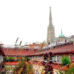 Отель Vienna Residence am Stephansdom городской автобус