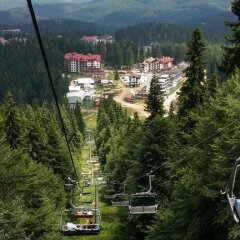 Отель Holiday Village Kochorite Болгария, Пампорово - отзывы, цены и фото номеров - забронировать отель Holiday Village Kochorite онлайн фото 4