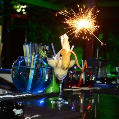 Doris Aytur Hotel развлечения