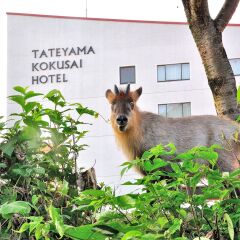 Tateyama Kokusai Hotel Тояма парковка