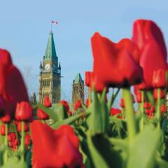 Отель Best Western Plus Gatineau-Ottawa Канада, Гатино - отзывы, цены и фото номеров - забронировать отель Best Western Plus Gatineau-Ottawa онлайн фото 3