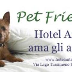 Hotel Antagos с домашними животными