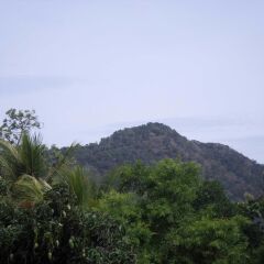 Отель Vista Wanniarachchi Holiday Resort фото 3