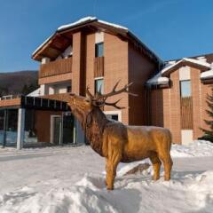 Отель Penzión DEER Словакия, Горна-Штубня - отзывы, цены и фото номеров - забронировать отель Penzión DEER онлайн фото 5