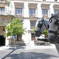 Отель TRYP Jerez Hotel Испания, Херес-де-ла-Фронтера - отзывы, цены и фото номеров - забронировать отель TRYP Jerez Hotel онлайн фото 2