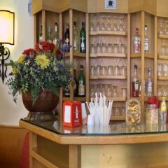 Hotel Piave гостиничный бар