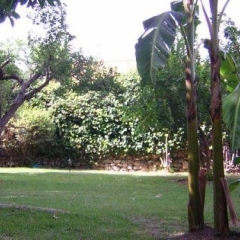 Отель Hostal Los Geranios Del Pinar Торремолинос фото 2