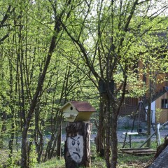Abant Korudam Konak Pansiyon Турция, Болу - отзывы, цены и фото номеров - забронировать отель Abant Korudam Konak Pansiyon онлайн приотельная территория фото 2