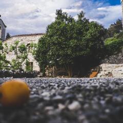 Berat Backpackers Hostel Берат детские мероприятия фото 2