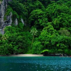 Отель Savusavu Hot Springs Hotel Фиджи, Савусаву - отзывы, цены и фото номеров - забронировать отель Savusavu Hot Springs Hotel онлайн приотельная территория