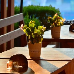 Te Stela Hotel бассейн