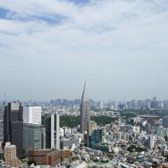 Отель Park Hyatt Tokyo Токио фото 13