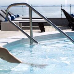 Park Hotel с домашними животными