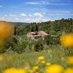 Отель Allegro Agriturismo Argiano Ареццо бассейн фото 3