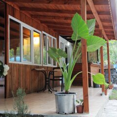 Отель Kidrak Motel Фаралья бассейн