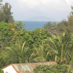 Отель An Bang Scent Beach Homestay Хойан фото 3