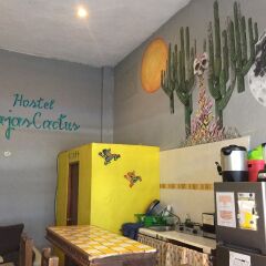 Отель Baja's Cactus Hostel Мексика, Кабо-Сан-Лукас - отзывы, цены и фото номеров - забронировать отель Baja's Cactus Hostel онлайн питание