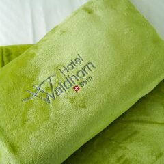 Hotel Waldhorn спа