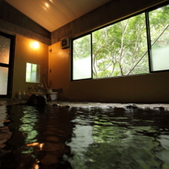 Отель Ryokan Keisenkaku Япония, Минамиогуни - отзывы, цены и фото номеров - забронировать отель Ryokan Keisenkaku онлайн бассейн
