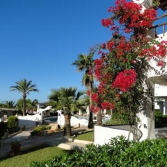 Отель Petunia Ibiza Испания, Сан-Лоренс де Балафия - отзывы, цены и фото номеров - забронировать отель Petunia Ibiza онлайн