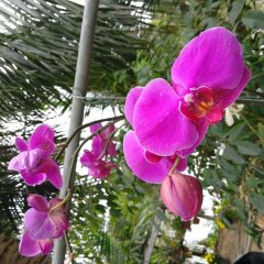 Отель Gia Bao Phat Homestay фото 9