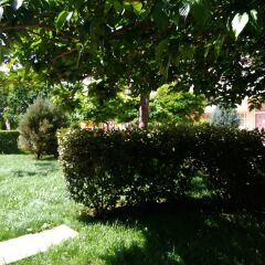 Отель Kamelia Garden Солнечный берег фото 20