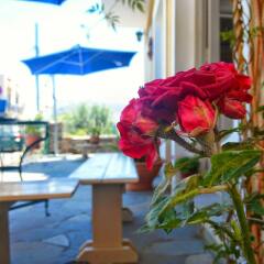 Hotel Aegina интерьер отеля