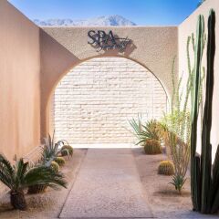 Отель Borrego Springs Resort and Spa фото 11